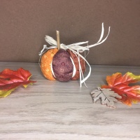 Petite courge décorative
